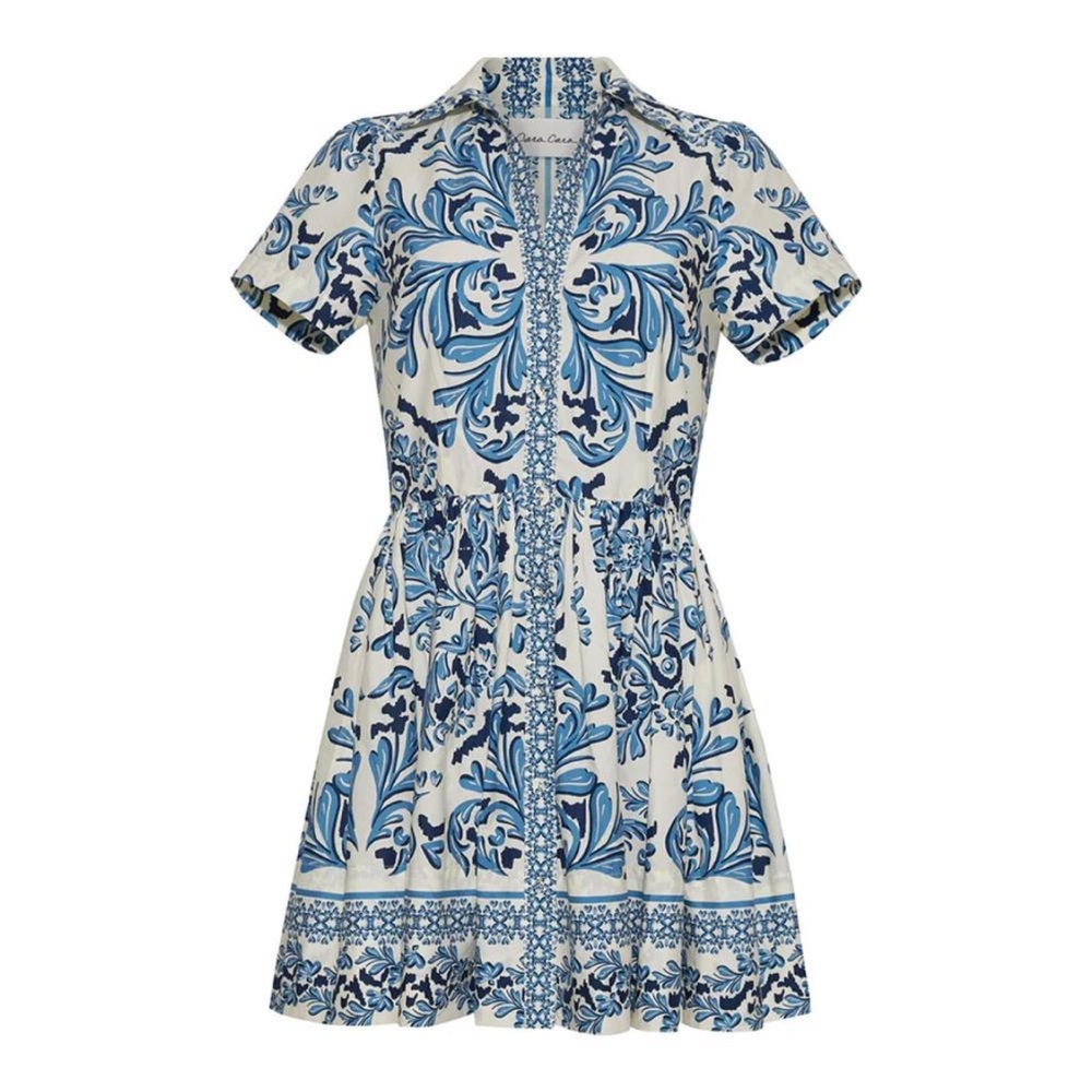 Cara Cara Blue and White Patterned Mini Dress